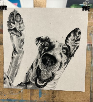 Dibujo carboncillo perro