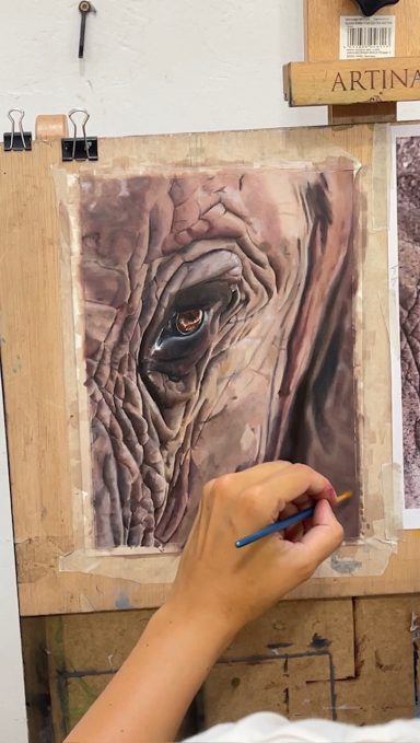 Mano pintando un retrato cercano del ojo de un elefante en una superficie de papel.